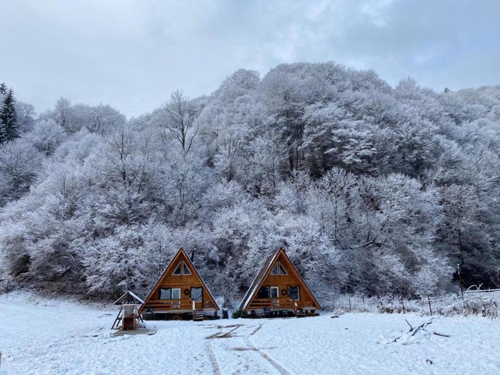 Cabanutze Satic Villa Rucăr Eksteriør billede