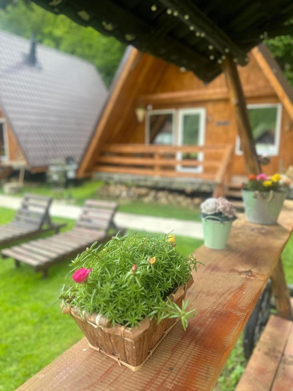 Cabanutze Satic Villa Rucăr Eksteriør billede