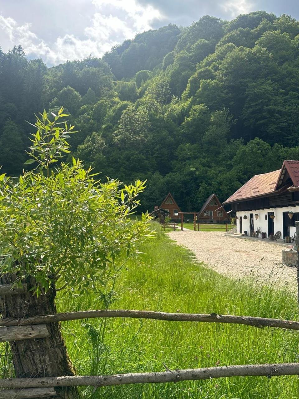 Cabanutze Satic Villa Rucăr Eksteriør billede