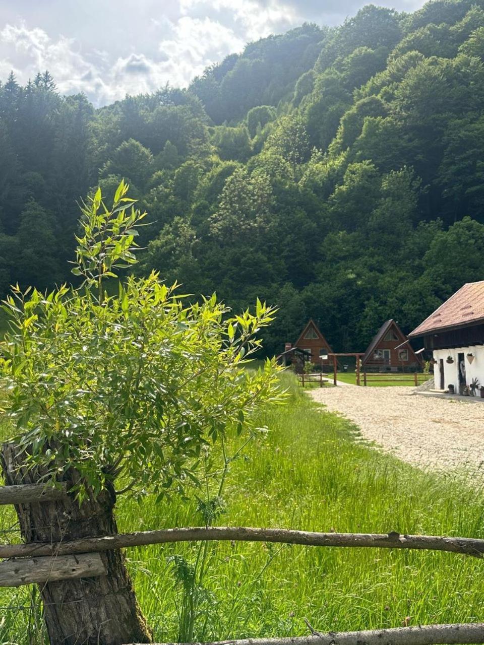Cabanutze Satic Villa Rucăr Eksteriør billede