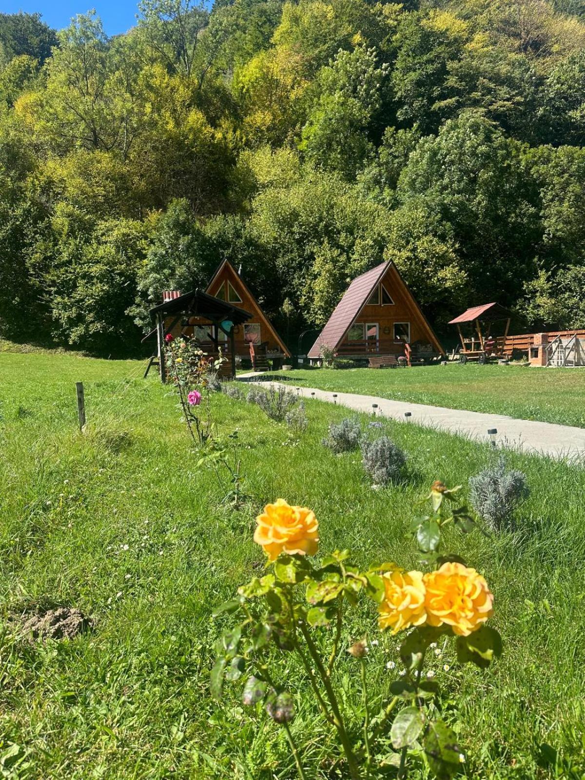 Cabanutze Satic Villa Rucăr Eksteriør billede